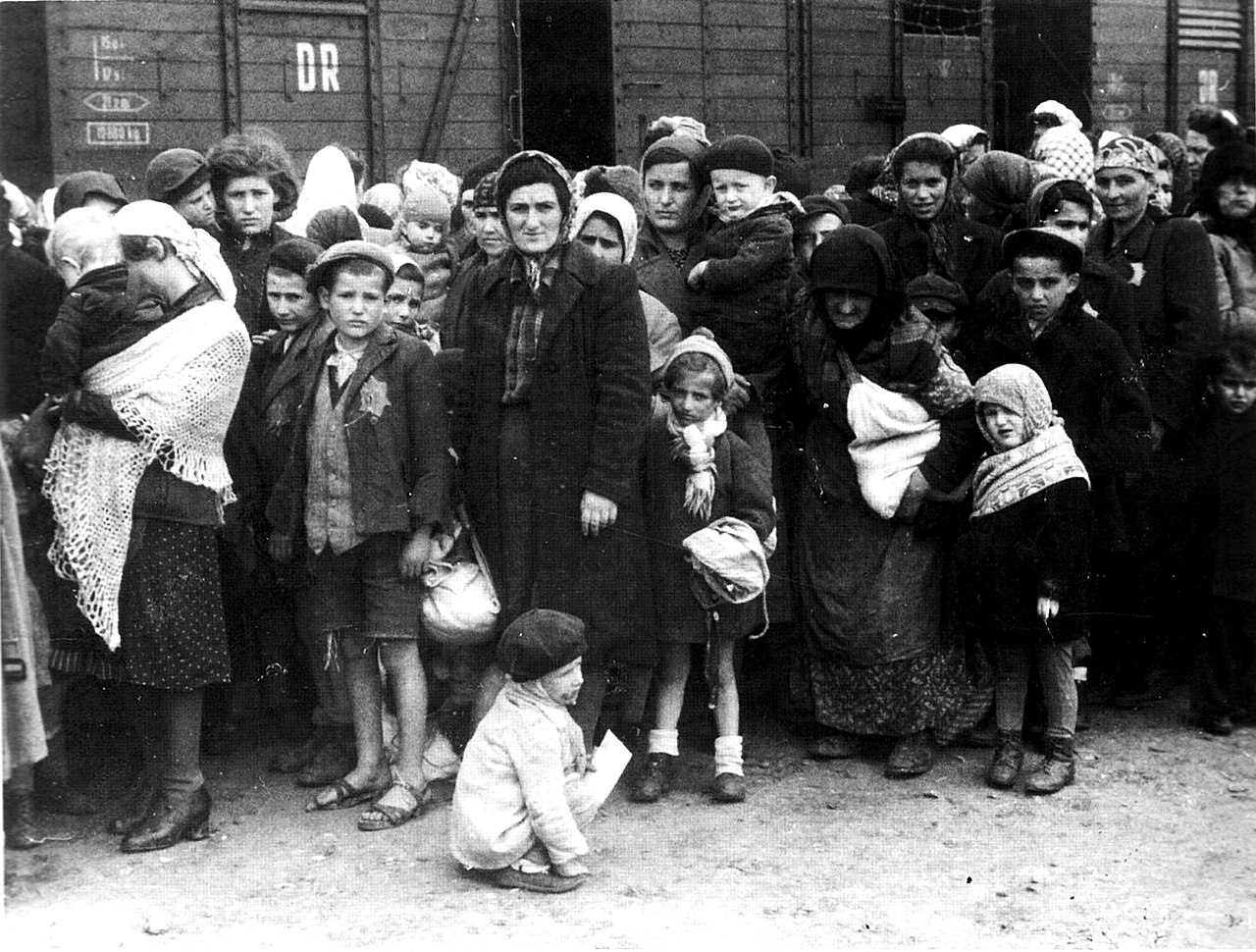 יהודים לפני סלקציה במחנה ההשמדה אושווויץ (קרדיט צילום: Bundesarchiv, Bild 183-N0827-318 / CC-BY-SA 3.0)